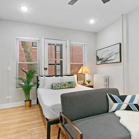 Chic & Updated Studio Apt In East Lakeview - Barry S1